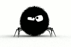 Spinne